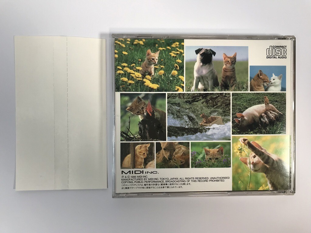 SI405 坂本龍一 / 子猫物語 オリジナル・サウンドトラック 【CD】 325の画像2