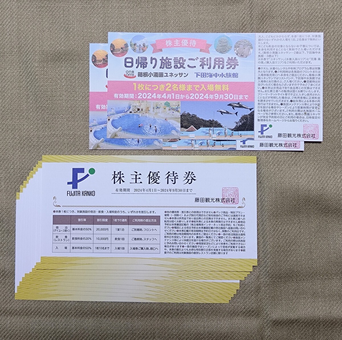 藤田観光 株主優待券 日帰り施設ご利用券2枚 ホテル宿泊料金半額券10枚セット ユネッサン 下田海中水族館 の画像1