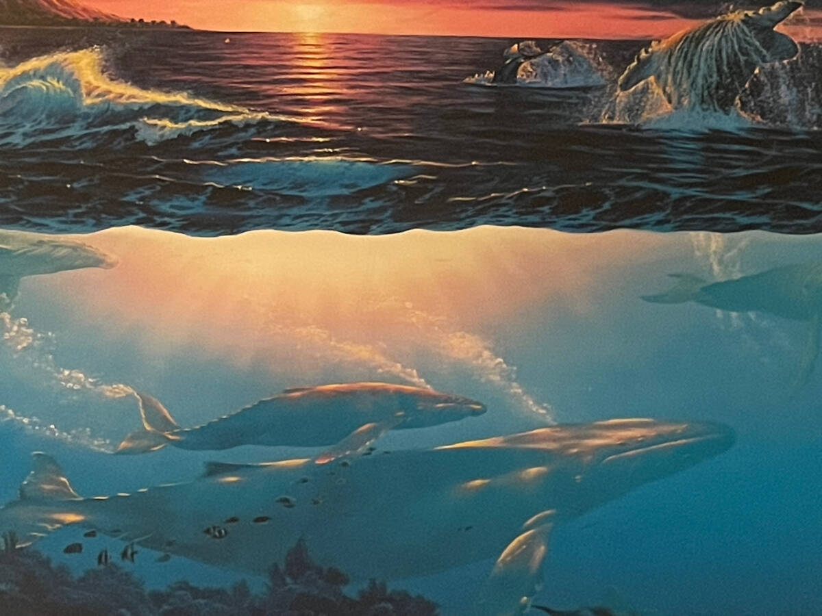 【真作・鑑定書付】◆ クリスチャン・ラッセン ◆ Christian Riese Lassen 「Diamond Head Down」シルクスクリーン12号大作 直筆サインあり_画像5