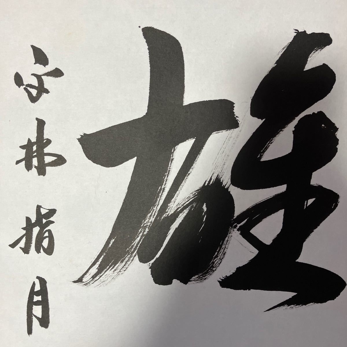 【模写】掛軸 指月庵 紙本 大雄峰 書 共箱 同梱可能 N O.5047_画像9