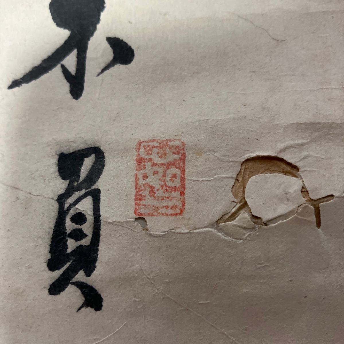 【模写】掛軸 紙本 書 梅 箱無 同梱可能 No.5812_画像7