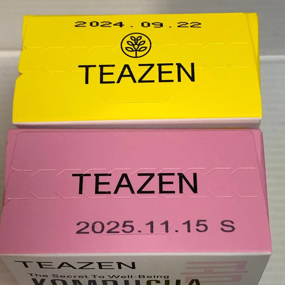 TEAZEN ティーゼン コンブチャ オーソドックス2種 各20本(ピーチ／レモン) 