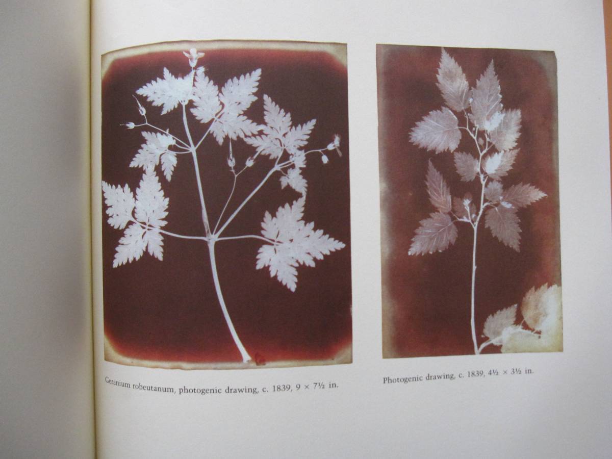ヤフオク 洋書 Fox Talbot And The Invention Of Photogra