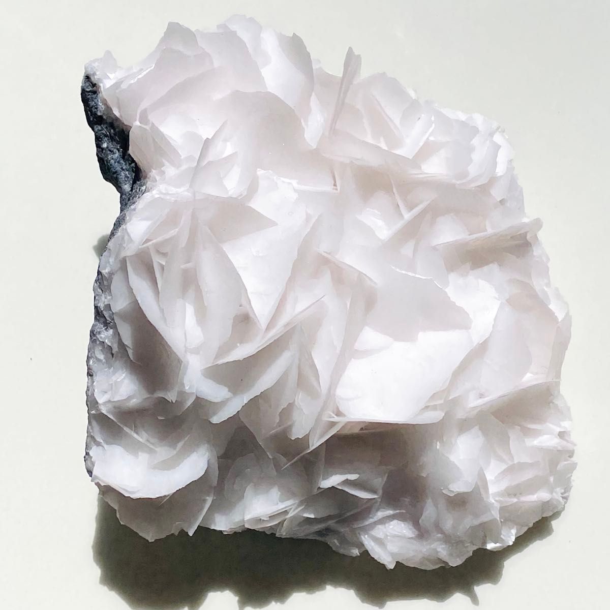 ★SALE【 天然石 美しい ホワイト ローズ カルサイト 原石 約654g 】鉱物 フラワー カルサイト