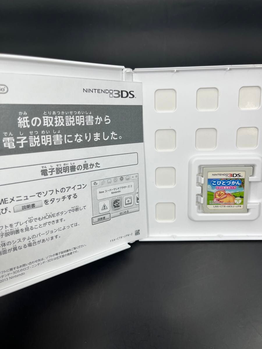 【3DS】 こびとづかん こびと観察セット