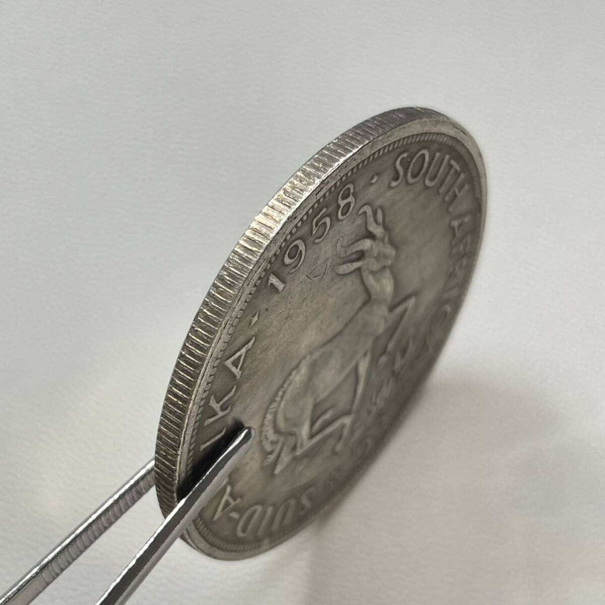 南アフリカ 硬貨 古銭 エリザベス2世 1958年 イギリス領南アフリカ スプリングボック 跳羚羊 コイン 重20.53gの画像4