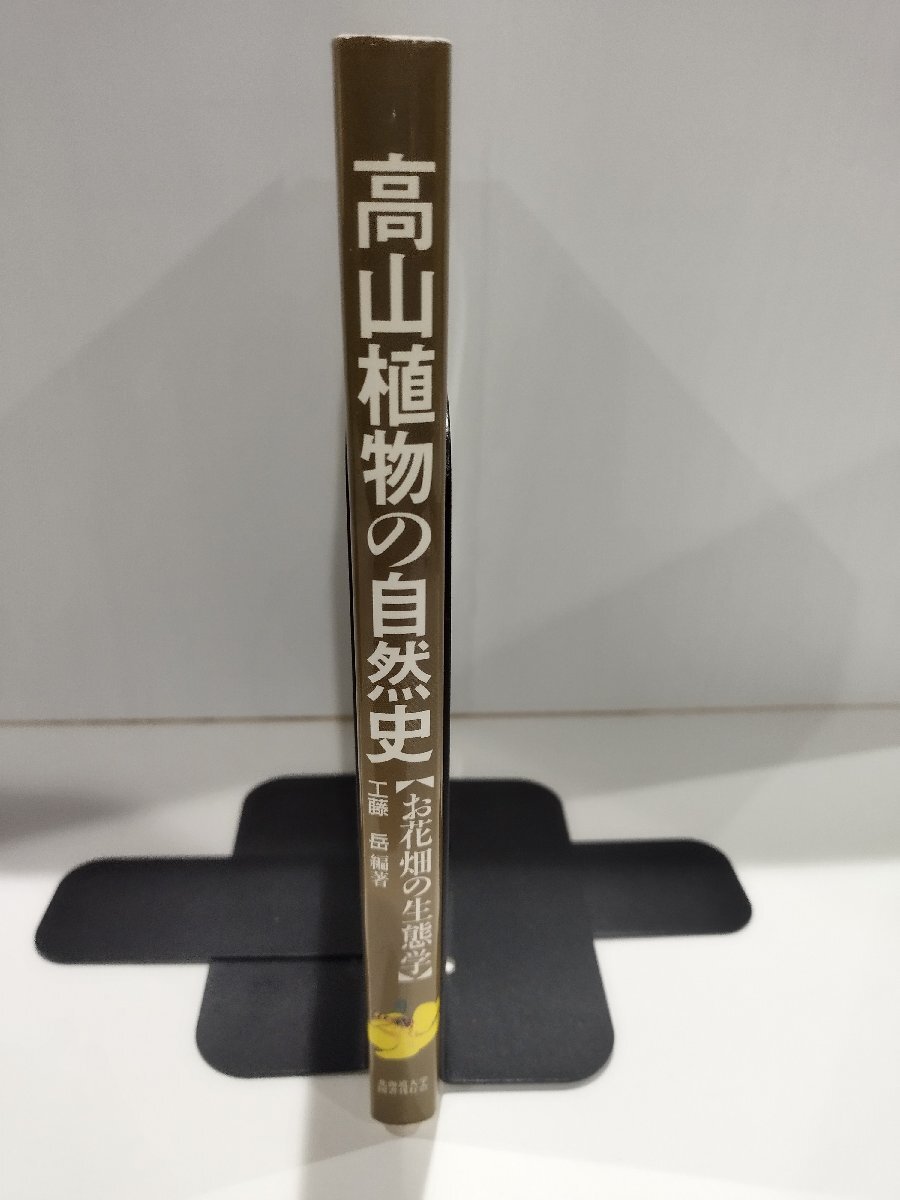 高山植物の自然史【お花畑の生態学】工藤岳　北海道大学図書刊行会【ac02p】_画像3