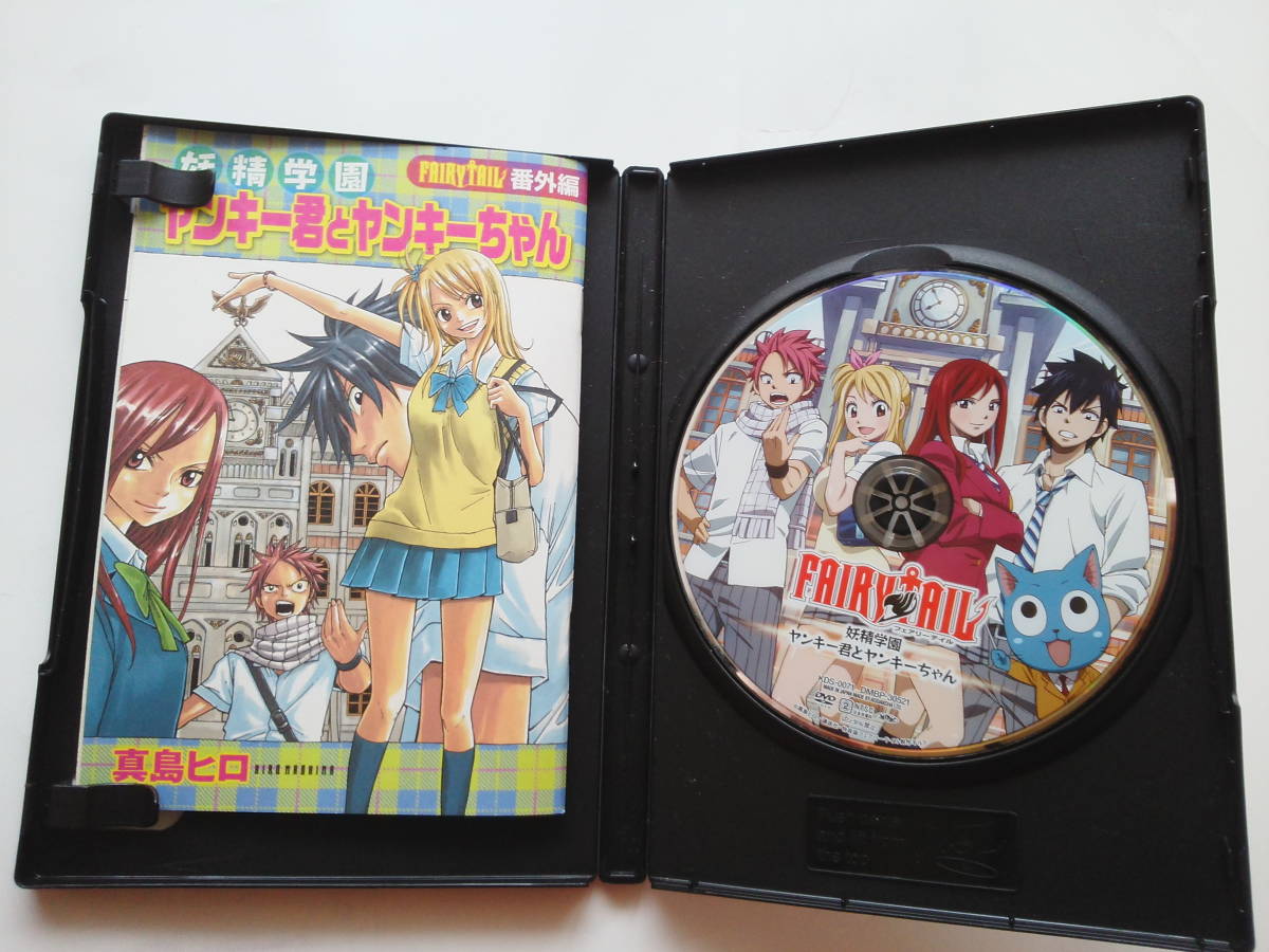 FAIRYTAIL フェアリーテイル メモリーデイズ ヤンキー君とヤンキー