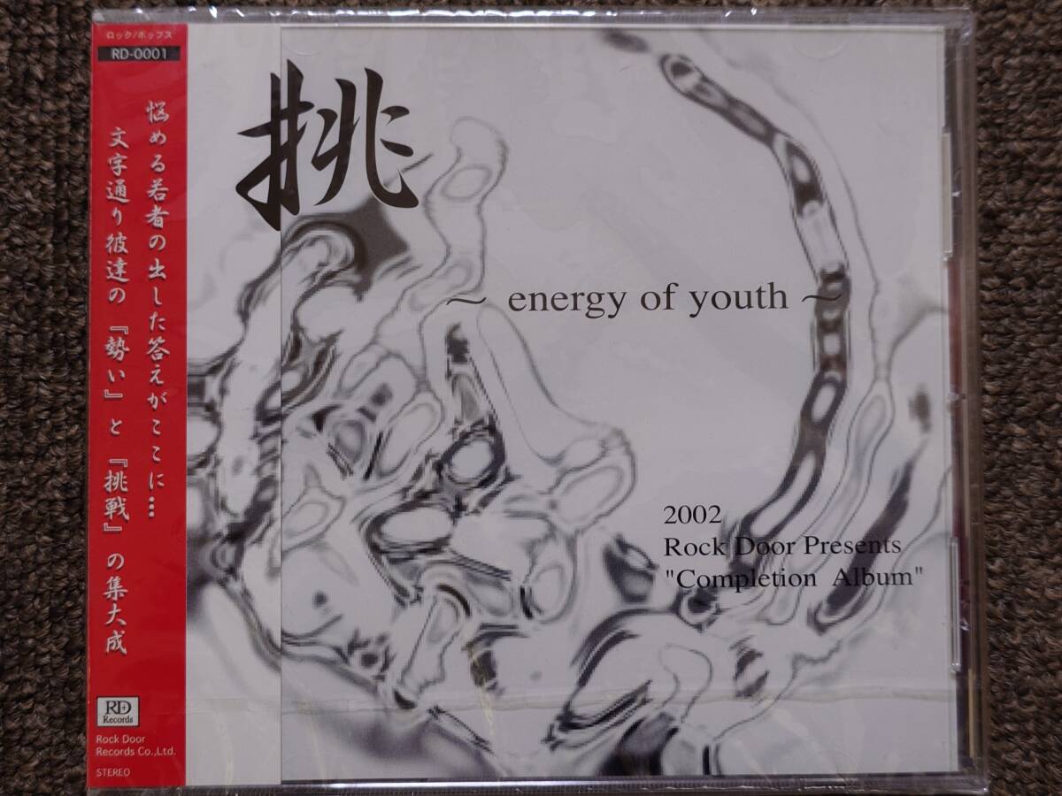 CD J-ROCK 2002 Rock Door Presents completion album 挑戦〜energy of youth〜　_画像1