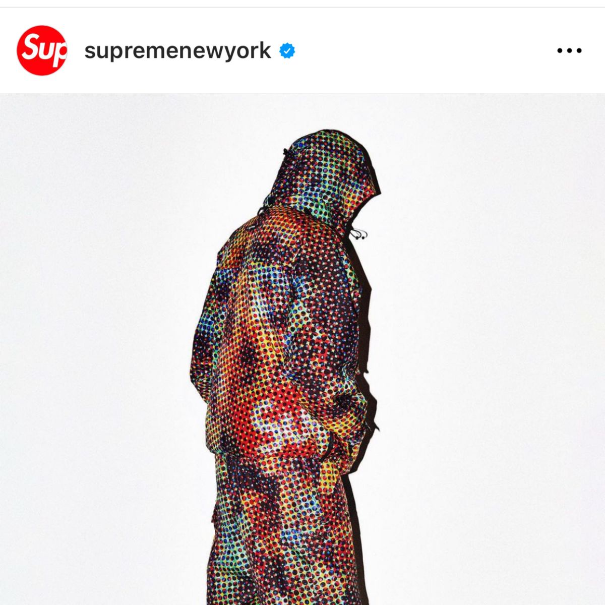 L Supreme GORE-TEX PACLITE Lightweight Shell Jacket L Supreme GORE-TEX PACLITE Lightweight Shell Jacket