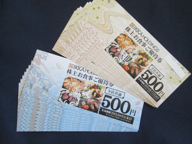 一家ホールディングス 株主優待券 　１００００円分_画像1