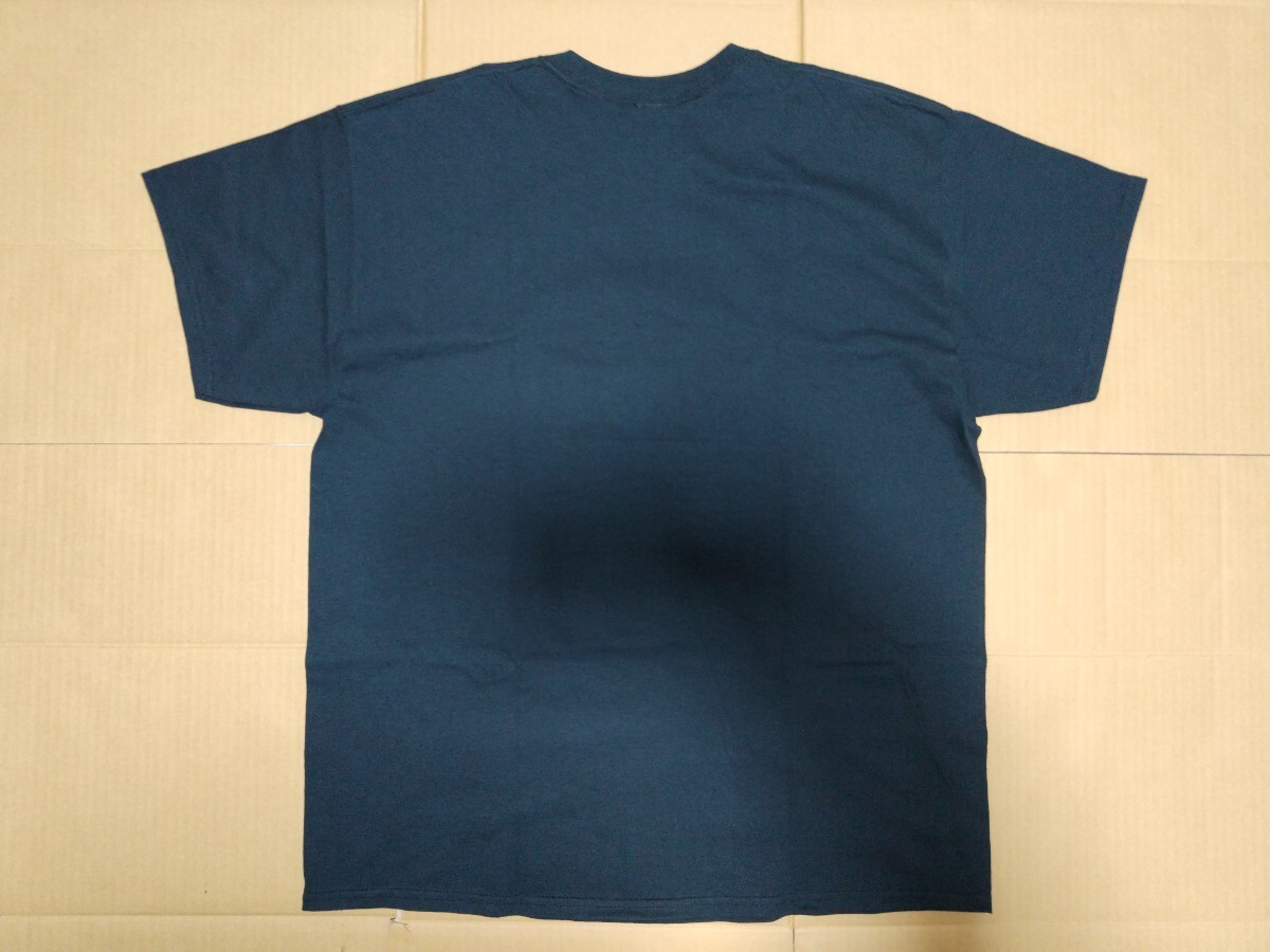 美品！ VIOLENT GRIND バイオレントグラインド 30th PUSHEAD パスヘッド Tシャツ 黒 XL_バック