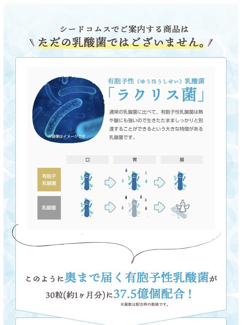 乳酸菌 サプリ 有胞子性乳酸菌ソフトカプセル 約3ヵ月分 ダイエット 桜の花エキス 菊花粉末_画像3