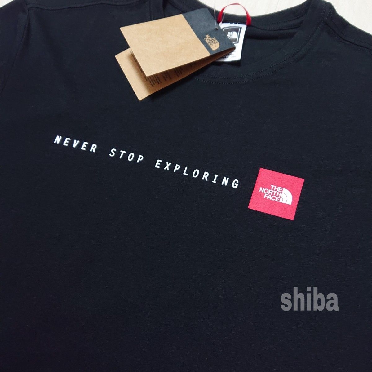 THE NORTH FACE ノースフェイス　tシャツ 半袖 トップス 人気 ボックスロゴ 黒 ブラック NSE 海外Sサイズ