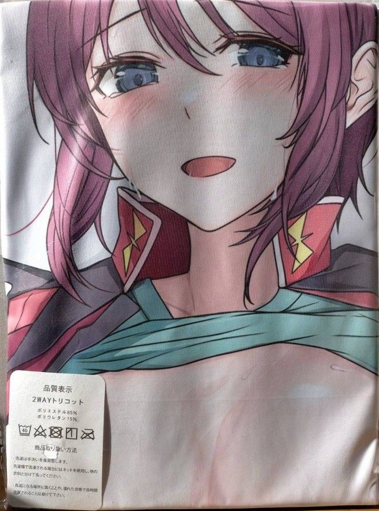 新品未開封 【機動戦士ガンダムSEED DESTINY】ルナマリア 抱き枕 新品未開封 【機動戦士ガンダムSEED DESTINY】ルナマリア 抱き枕