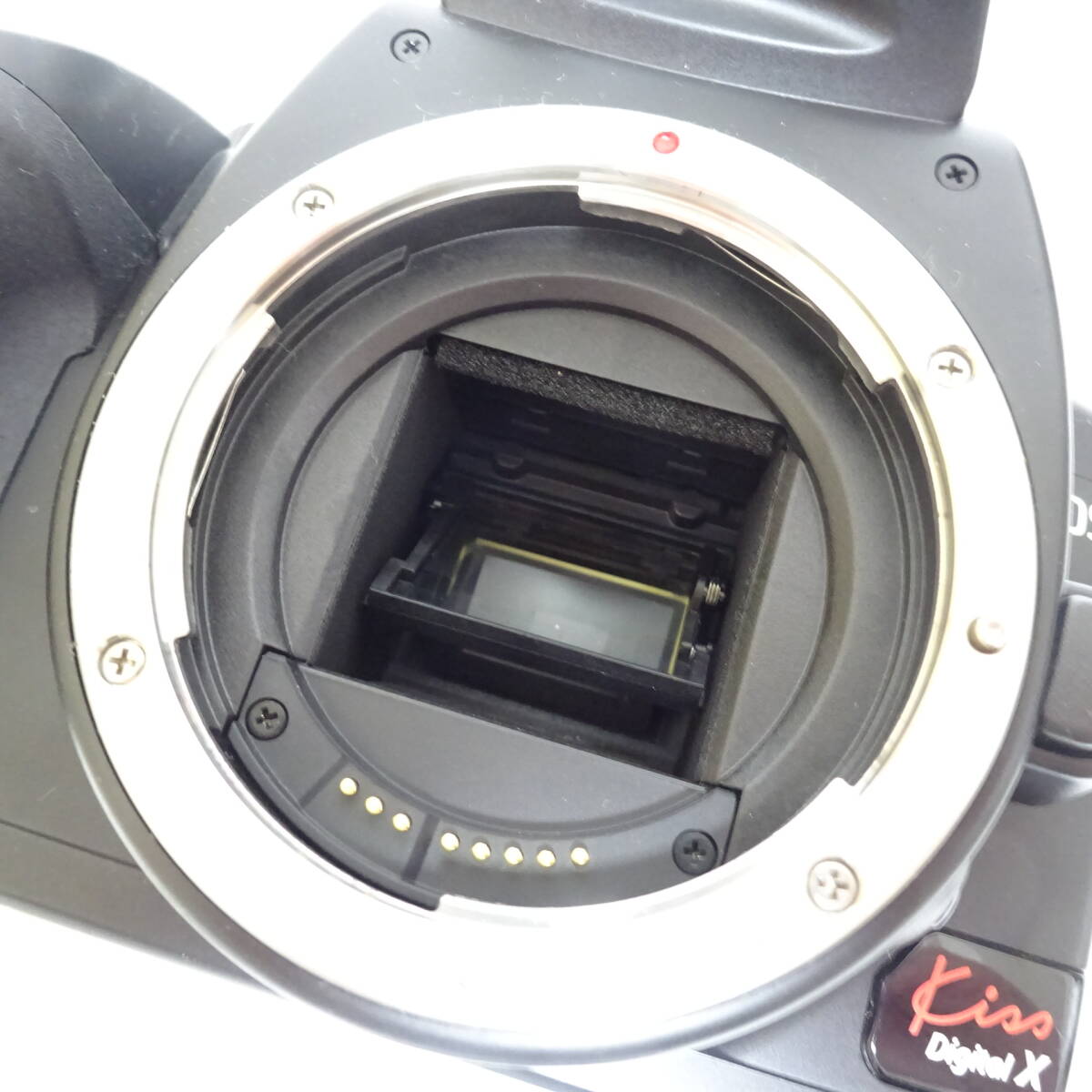 Canon EOS kiss Digital X デジタル一眼カメラ バッテリー無し 動作未確認 【80サイズ/同梱不可/大阪商品】【2570787/202/mrrz】_画像3