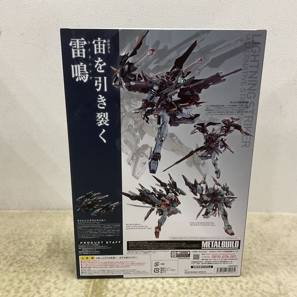 1円〜 未開封 BANDAI SPIRITS METAL BUILD 機動戦士ガンダムSEED MSV ライトニングストライカー オルタナティブストライク Ver._画像2