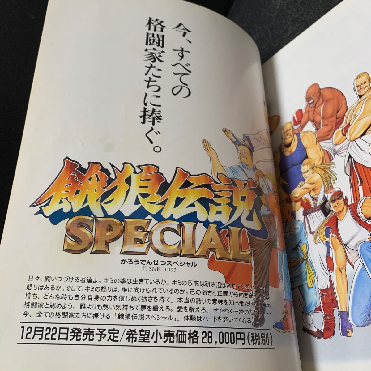 攻略本 餓狼伝説スペシャル 月刊ゲーメスト増刊 ガロスペ SNK ネオジオ ムック_画像9