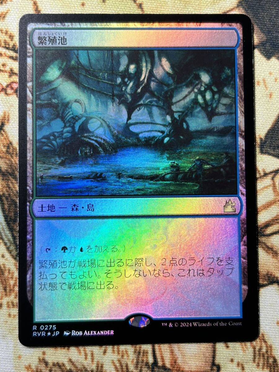 MTG 繁殖池 Breeding Pool foil_画像1