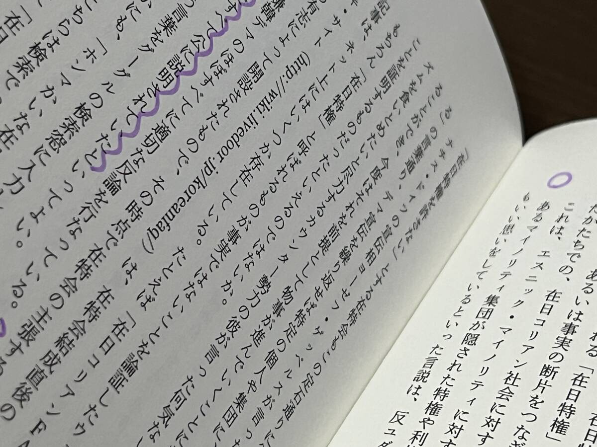 野間易通『「在日特権」の虚構 ネット空間が生み出したヘイト・スピーチ』(本) _画像7