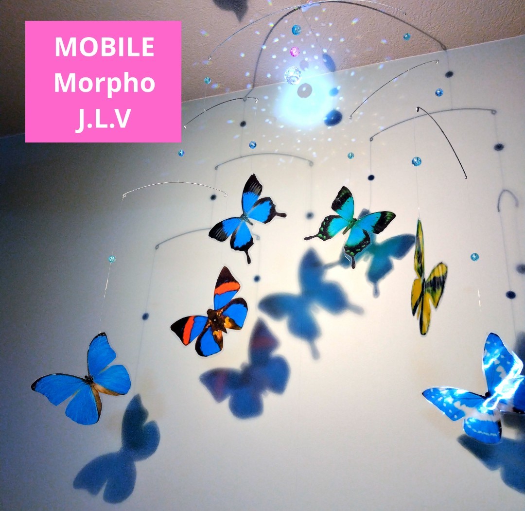  бабочка бабочка .morufo mobile "ловец солнца" есть MOBILEf Len ste do не J.L.V..
