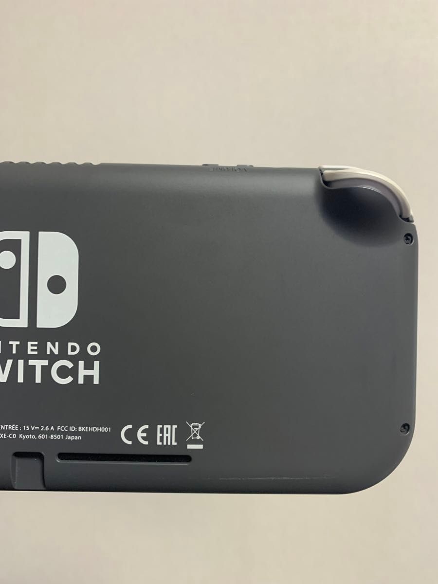 【美品】Switchライト本体 グレー 強化ガラス保護フィルムのおまけ付き♪