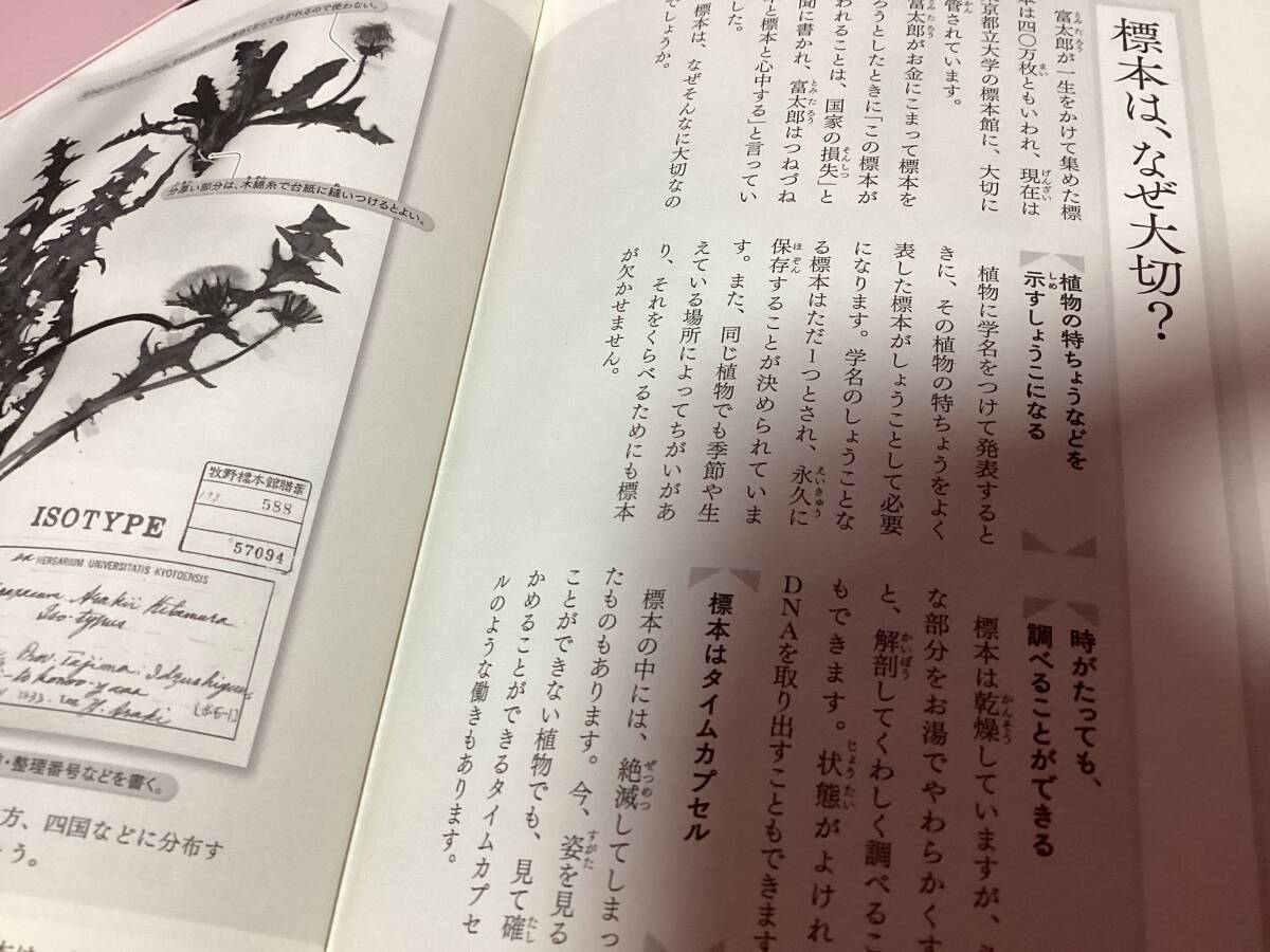 item_image_10