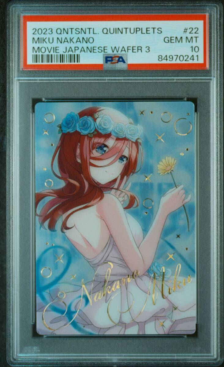 6800円 ◇即決◇ バギー SAMPLE サンプル 非売品 ワンピーベリー 6800円 ◇即決◇ バギー SAMPLE サンプル 非売品 ワンピーベリー