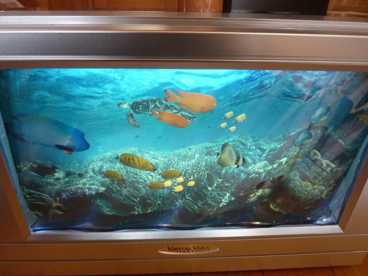 VIRTUAL VISION 熱帯魚 バーチャルビジョン 3D 中古品 元箱、取説、ACアダプター 昭和レトロ アンティーク_画像8