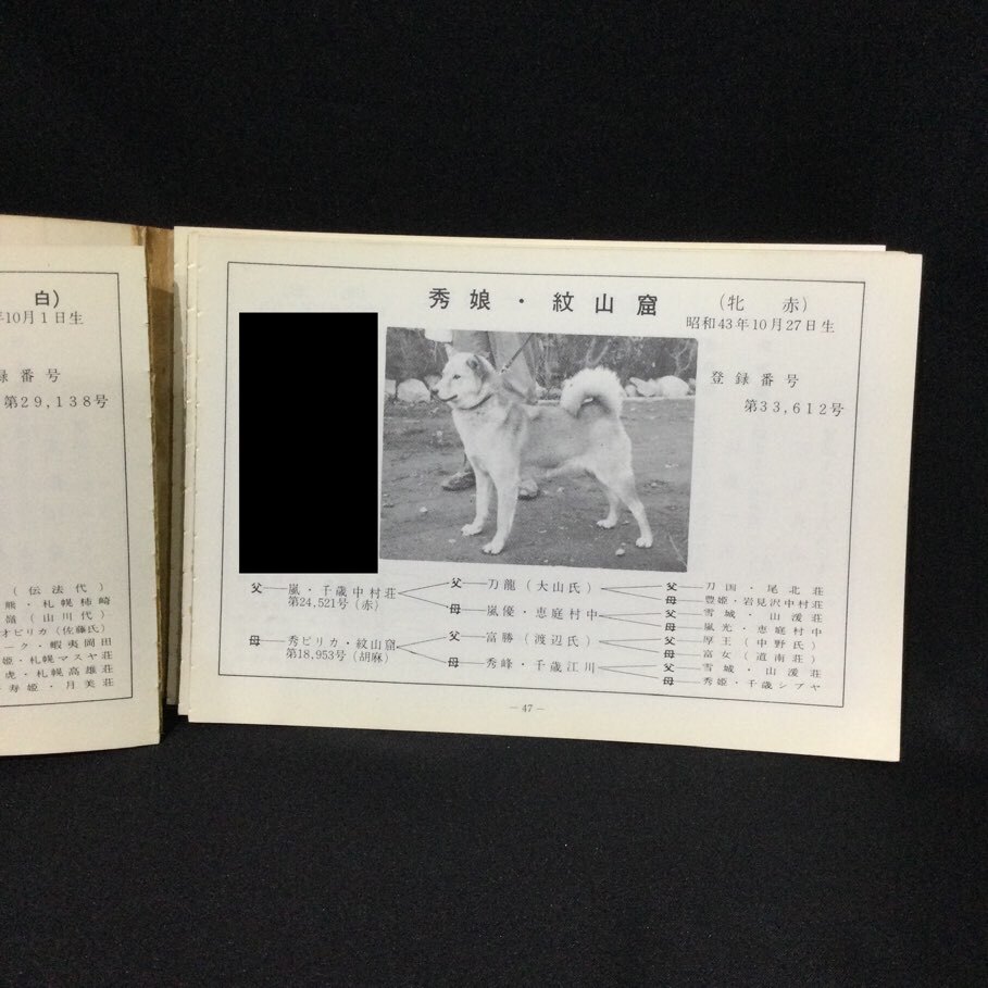 【希少 非売品】★『札幌支部愛犬写真集』天然記念物北海道犬保存会 札幌支部 昭和46年★　　　　 アイヌ犬道犬猟犬血統系統日本犬資料A683_画像6