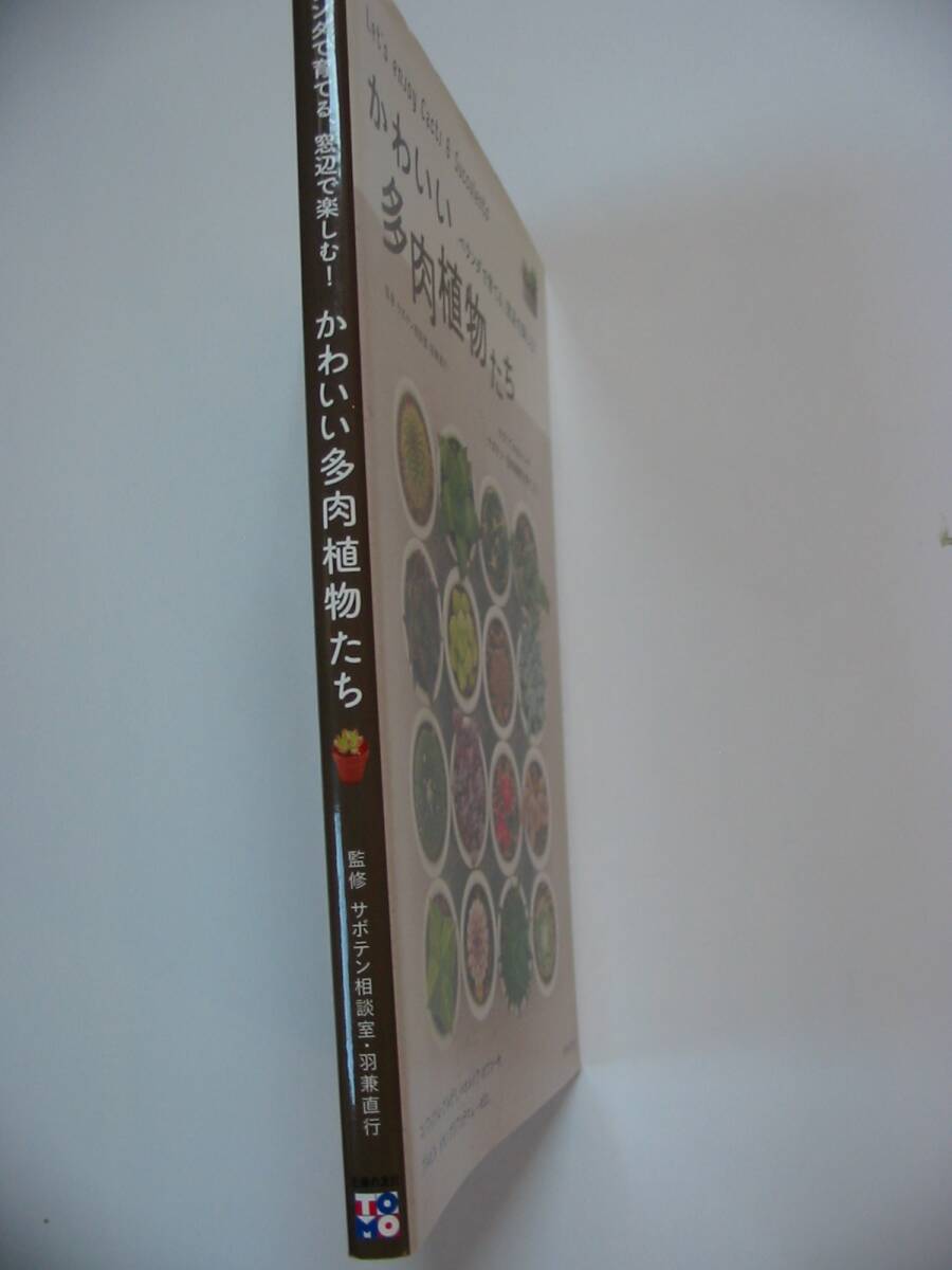 単行本「ベランダで育てる、窓辺で楽しむ！かわいい多肉植物たち」監修：サボテン相談室・羽兼直行_画像1