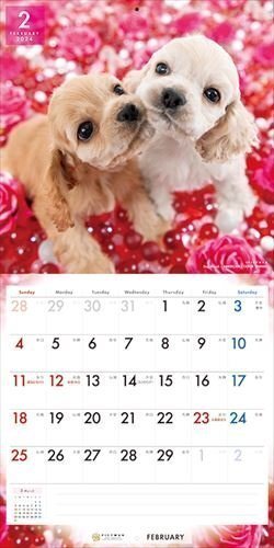 アメリカン・コッカー・スパニエル PICTWAN (ピクトワン) カレンダー DOG 【L版】 2024年カレンダー24CL-50001Lの画像6