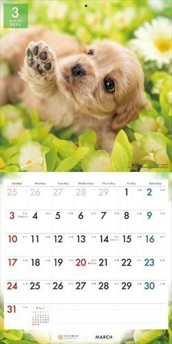アメリカン・コッカー・スパニエル PICTWAN (ピクトワン) カレンダー DOG 【L版】 2024年カレンダー24CL-50001Lの画像7