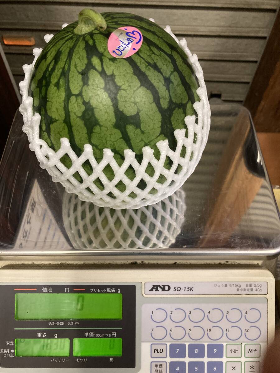 【送料無料1円スタート♪】【春の小玉スイカ】販売　小玉すいか1玉 約２kg（箱込）熊本県産ひとりじめ　 産地直送 贈答品 家庭用_画像3