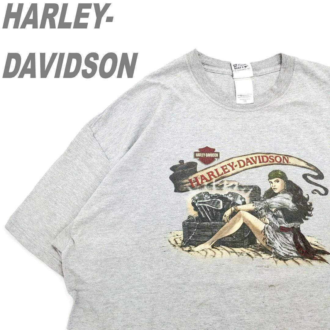 HARLEY-DAVIDSON ハーレーダビッドソン Tシャツ 3XL グレー 希少 ビッグプリント 大きい レアプリント メンズ レディース ユニセックス