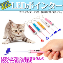  cat .... fishing rod 5 point set ...... cat for cat for toy pet goods feather bell pet accessories toy laser pointer free shipping 