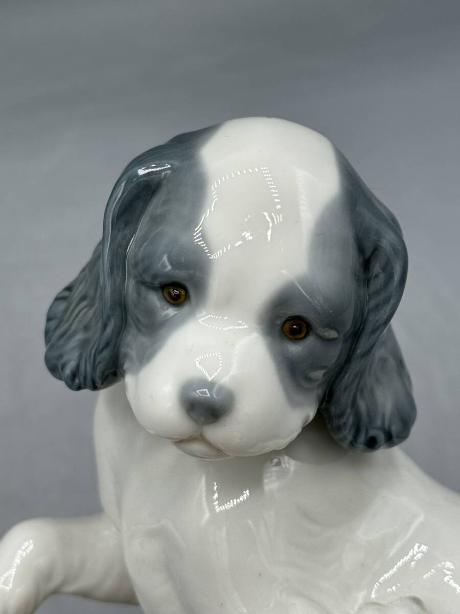  Lladro nao собака украшение figyu Lynn керамика керамика кукла 