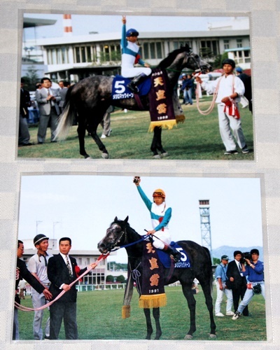 ポストカード　JRA メジロマックイーン　６枚セット　グリーンチャンネル　2006年　未開封　中古品　　武豊　_画像5