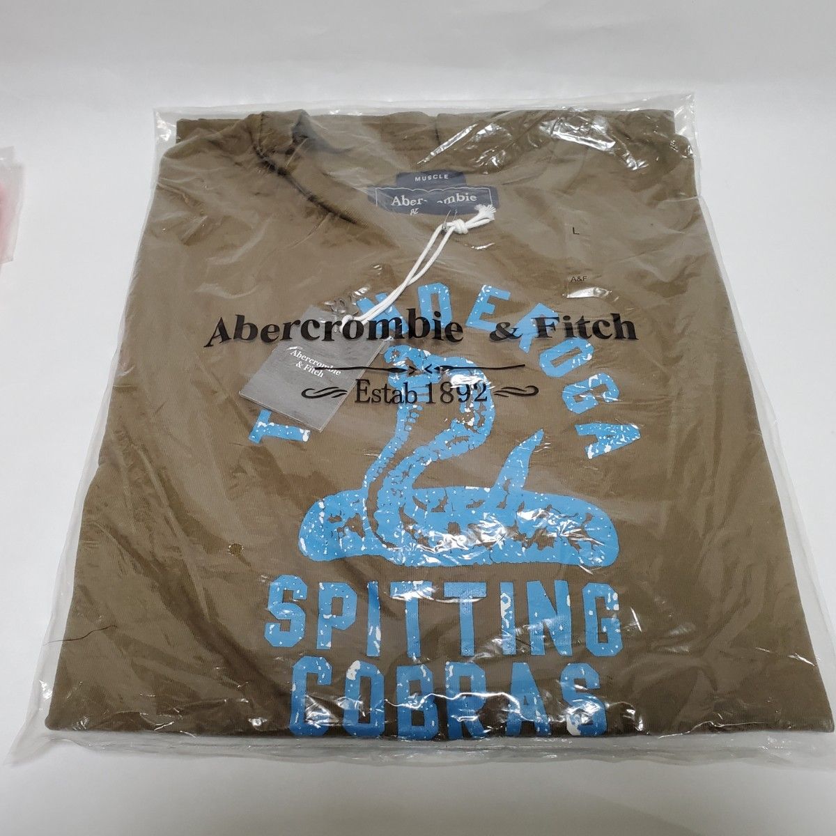 ２枚セット 未使用品 タグ付き アバクロ アバクロンビー&フィッチ Tシャツ メンズ L Abercrombie & Fitch 