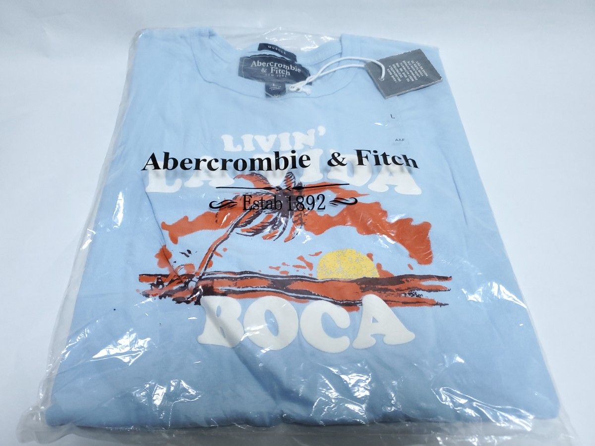 ２枚セット 未使用品 タグ付き アバクロ アバクロンビー&フィッチ Tシャツ メンズ L Abercrombie & Fitch 