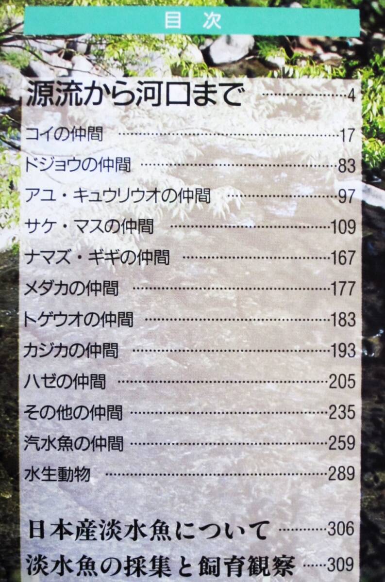 ポケット図鑑/川・湖・池の魚■中村泉/田口哲■成美堂出版/1996年/初再不明■帯付_画像2