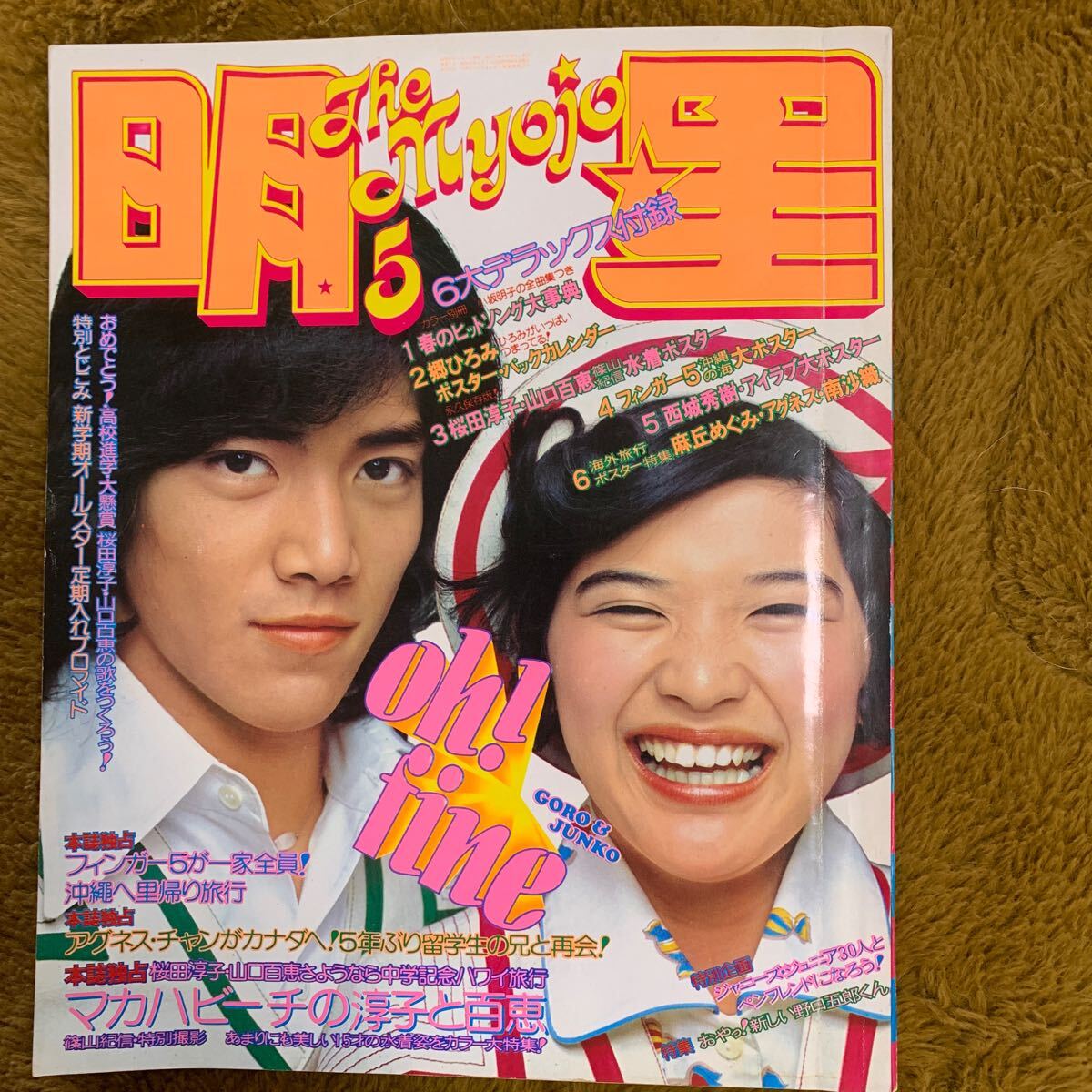 明星 1974/5★西城秀樹 山口百恵 桜田淳子 ジャニーズジュニア 水着モデルポスター浅田美代子 佐藤佑介 井上陽水 沢田研二 南沙織 他_画像10