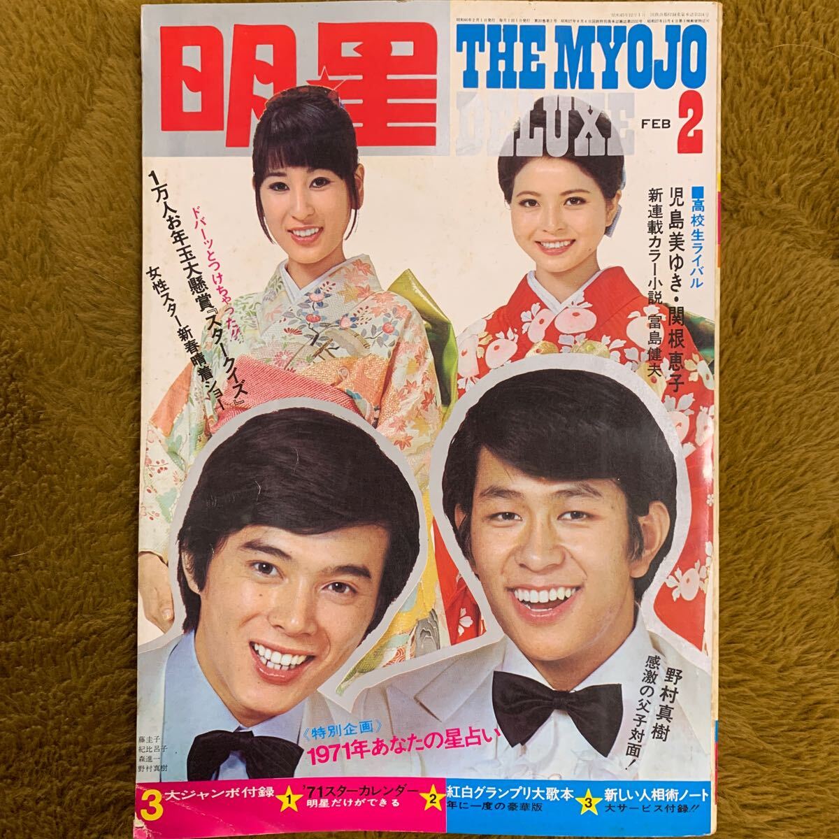 明星デラックス1971/2★関根恵子 GS解散特集タイガース 沢田研二 藤圭子 岡崎友紀 辺見マリ 酒井和歌子 吉永小百合 吉沢京子 他_画像10