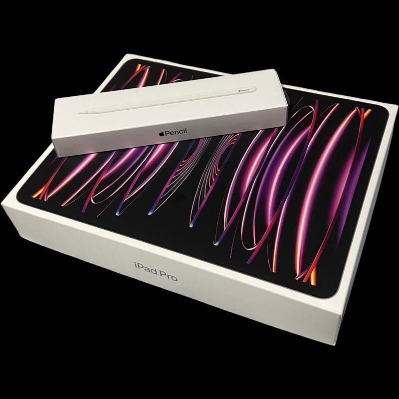 美品 iPad Pro 12.9インチ 第6世代 Wi-Fiモデル 512GB スペースグレイ MNXU3J/A 本体 初期化済み Apple Pencil 第2世代 セットの画像1