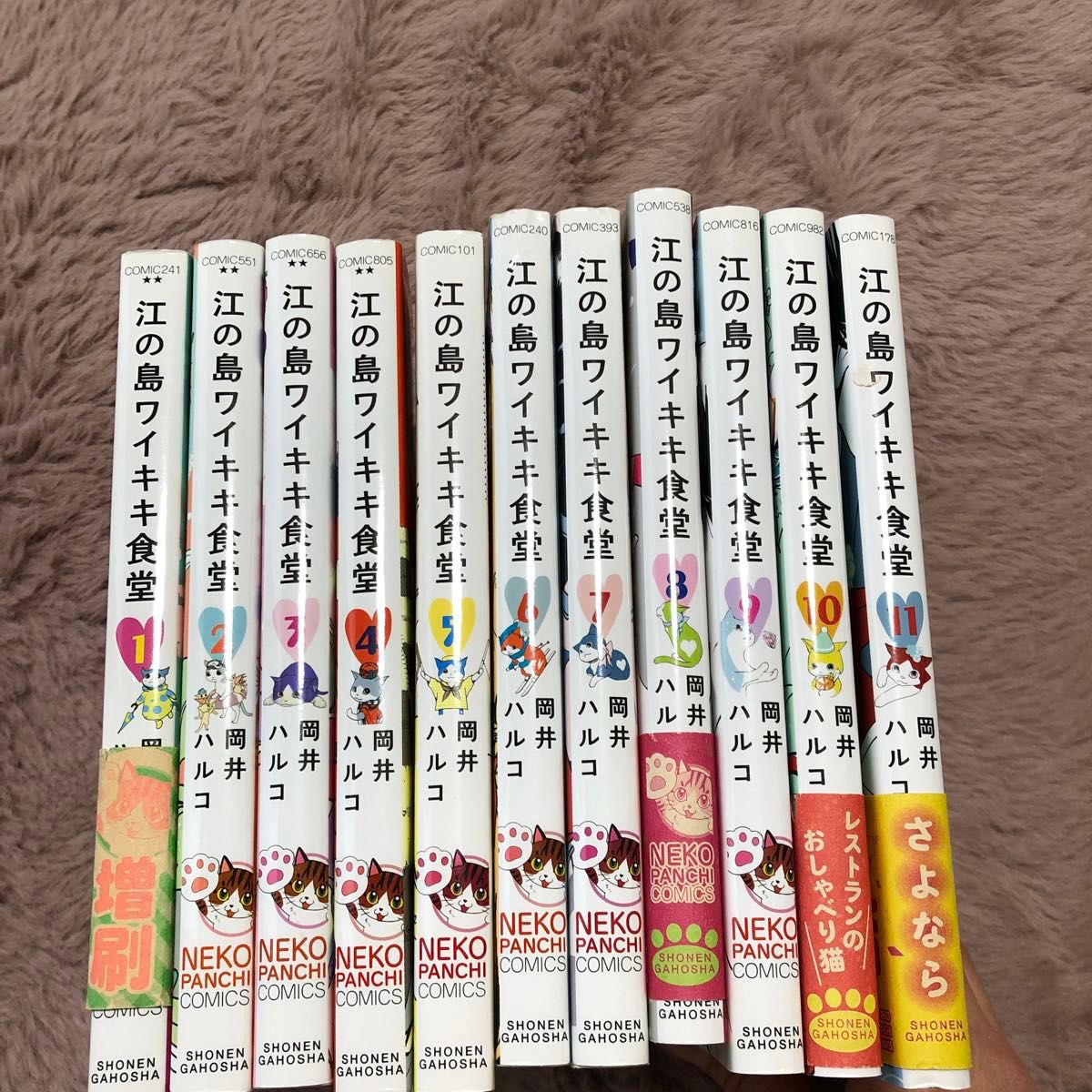 江の島ワイキキ食堂　全１１ 巻（コミック　１７８　ねこぱんちコミックス） 岡井ハルコ／著