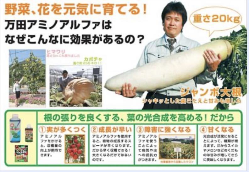 送料込み　万田酵素 万田アミノアルファ 1000ml 肥料　植物用万田酵素配合　万田発酵（株）税込6050円のお品_画像7