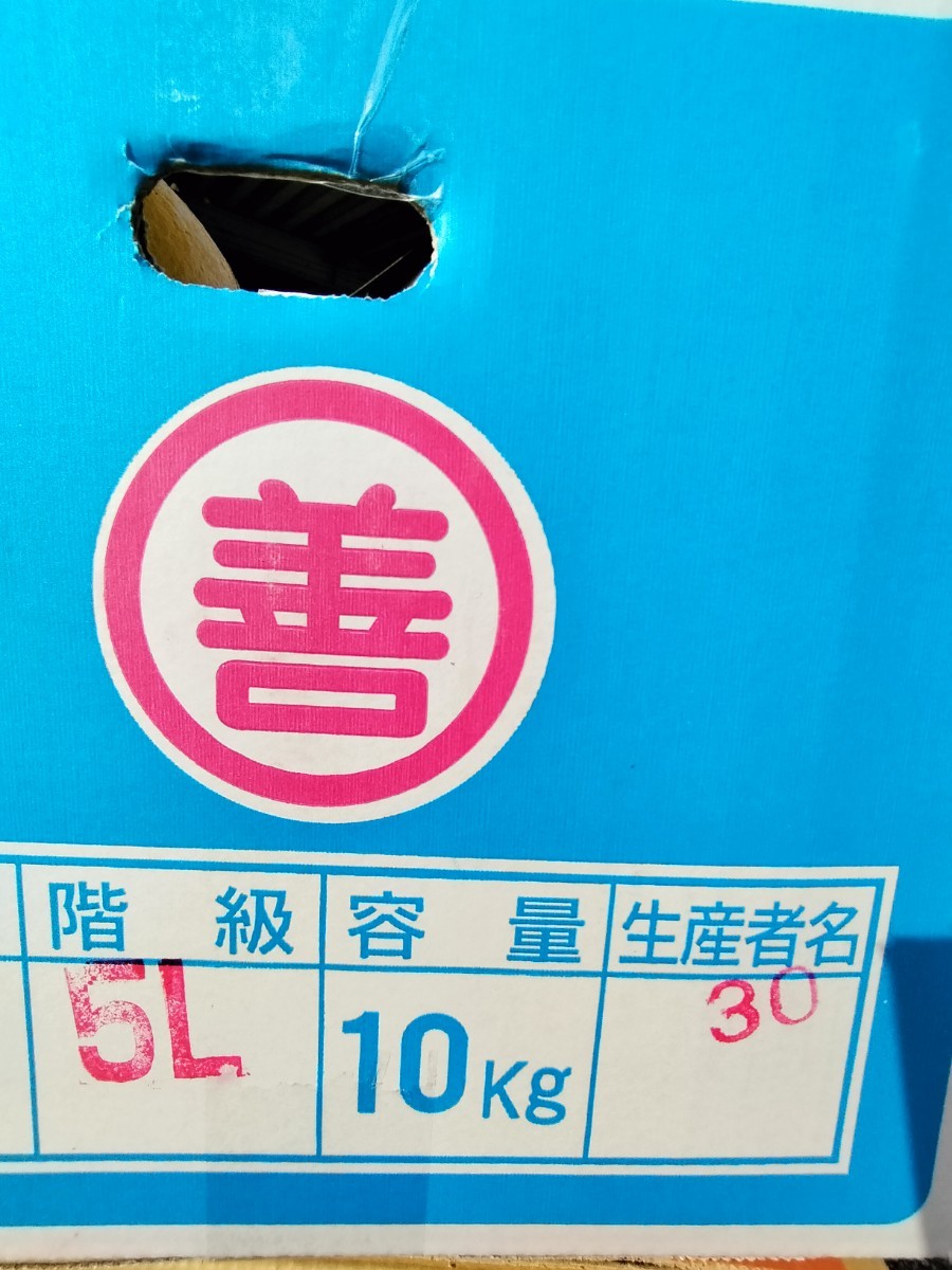 高知産☆☆　５Lサイズ　約１０Kg　訳あり　露地文旦　超大玉　１１～１３玉前後入り　☆　家庭用☆　☆_画像2