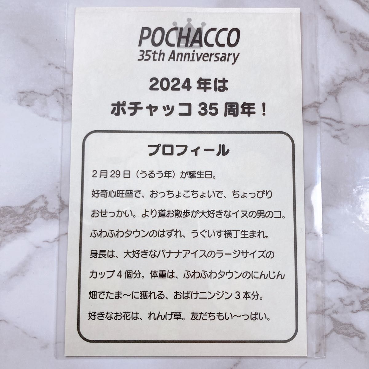 ポチャッコ 35周年 ステッカー シール 2枚セット サンリオ