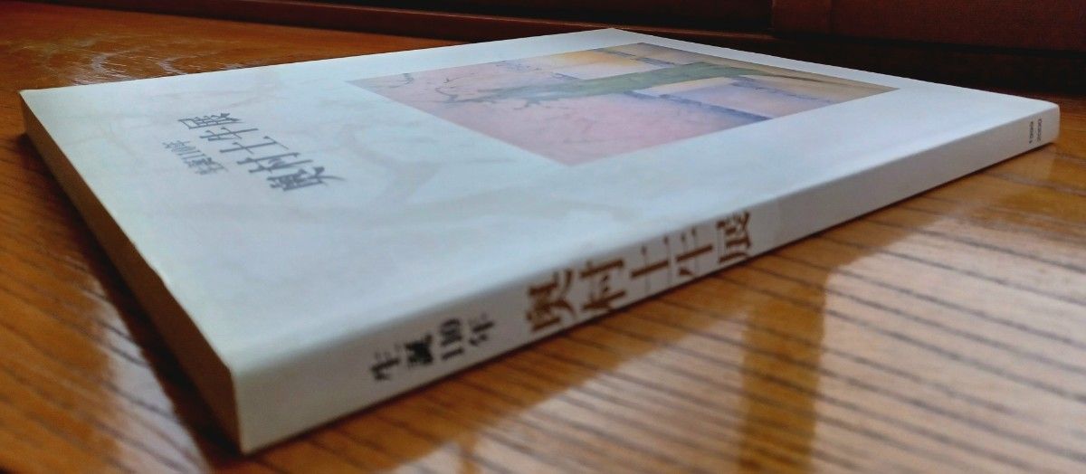 生誕110年 奥村土牛展 1999年～2000年 山種美術館と朝日新聞社主催28cm ×22.6cm × 厚さ12ｍｍ 日本画集