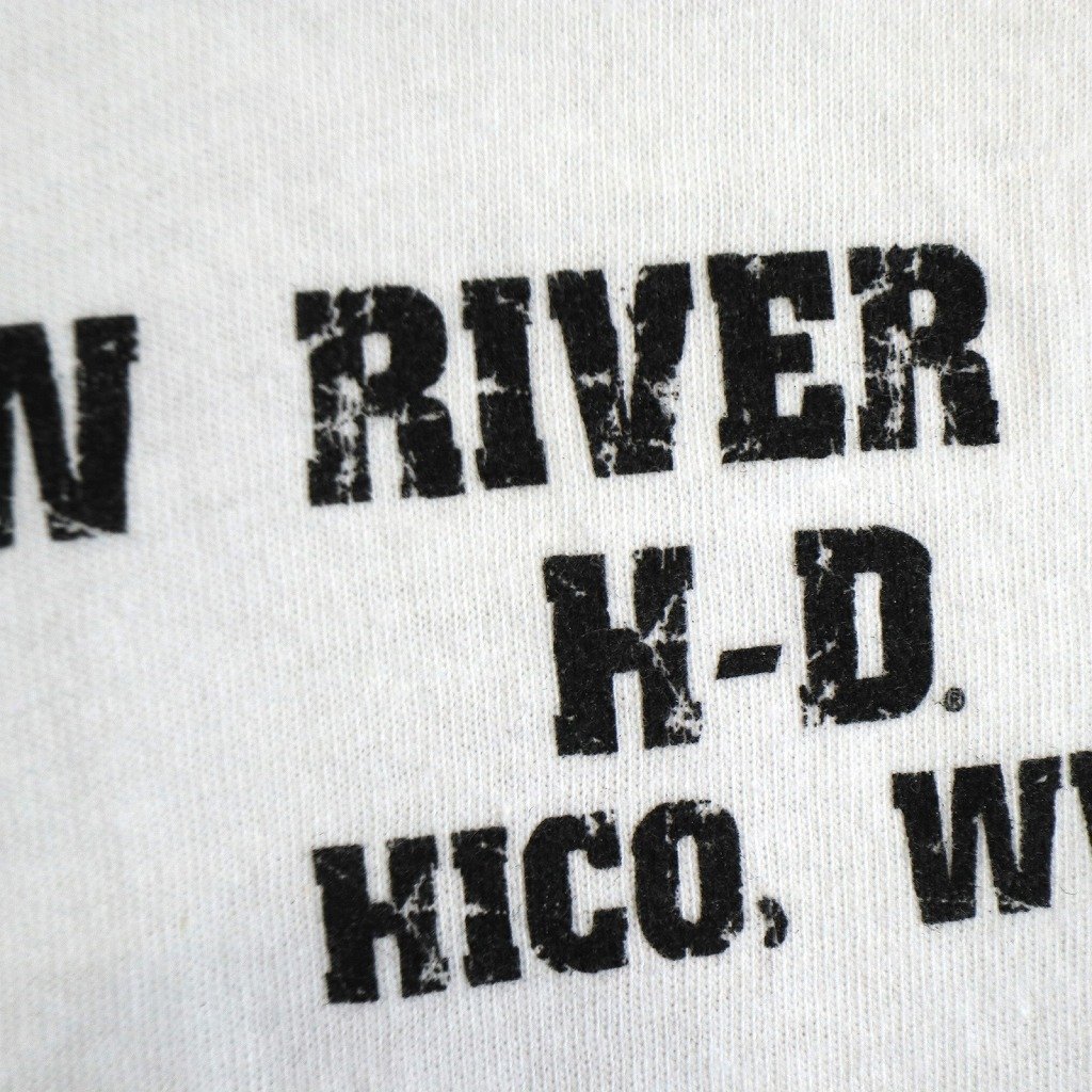 HARLEY DAVIDSON ハーレーダビッドソン 英文字 半袖Ｔシャツ ドクロ スカル ホワイト (メンズ LARGE) O2427 中古 古着_画像3